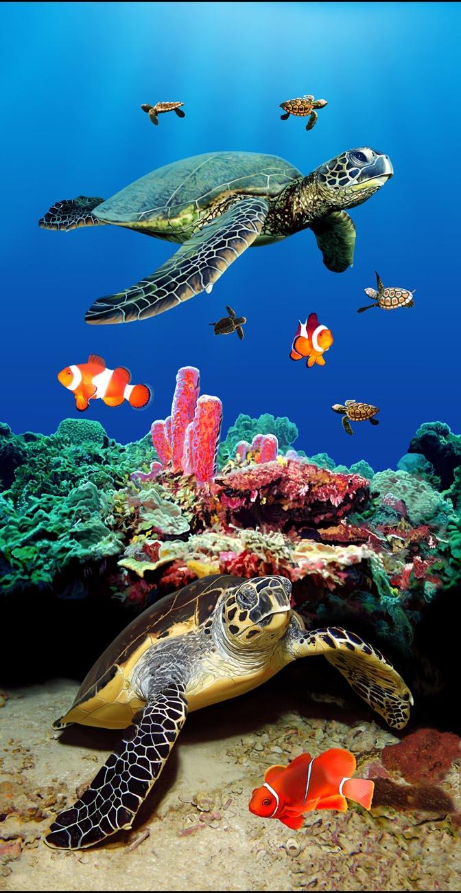 image-351094-5608 TURTLE ENDANGER.jpg